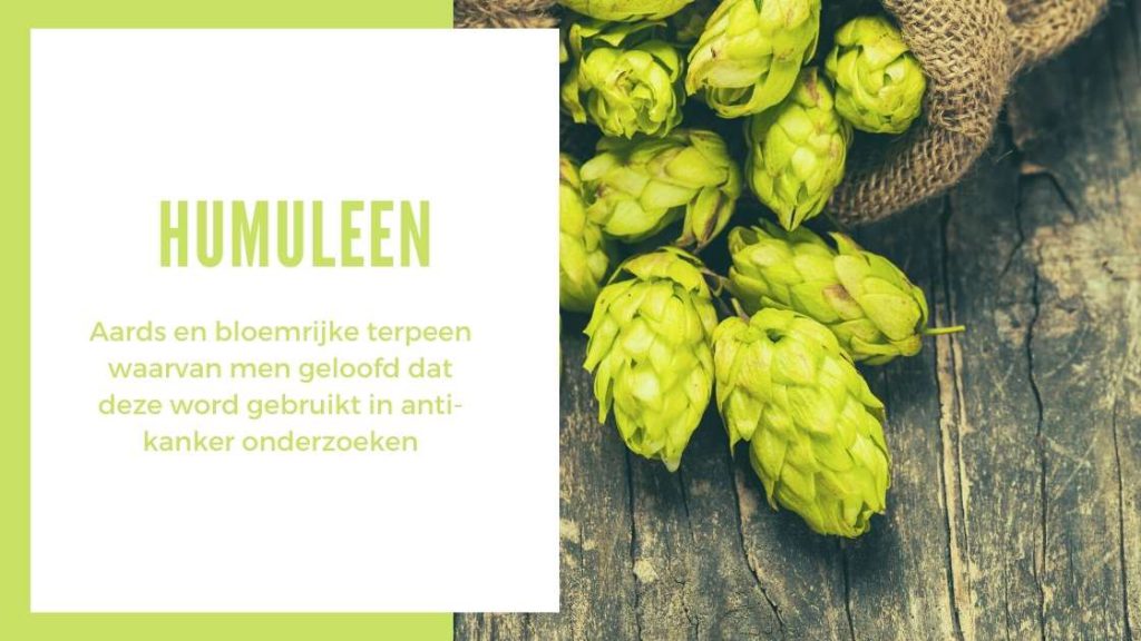 ✅ Ultieme Terpenen Gids - Humuleen - Smartific