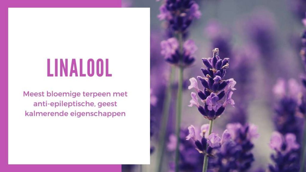 ✅ Ultieme Terpenen Gids - Linalool - Smartific