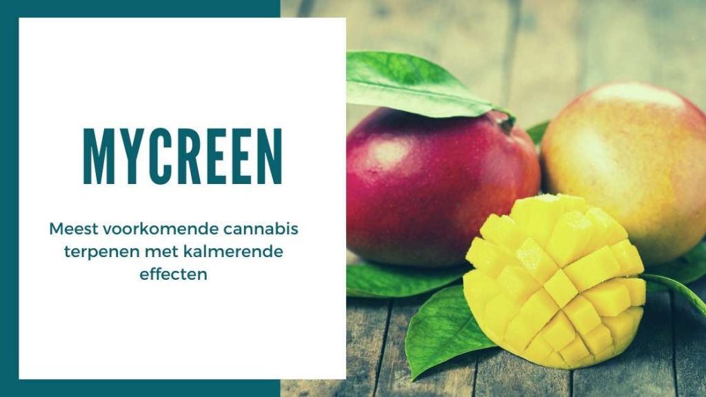 ✅ Ultieme Terpenen Gids - Mycreen - Smartific