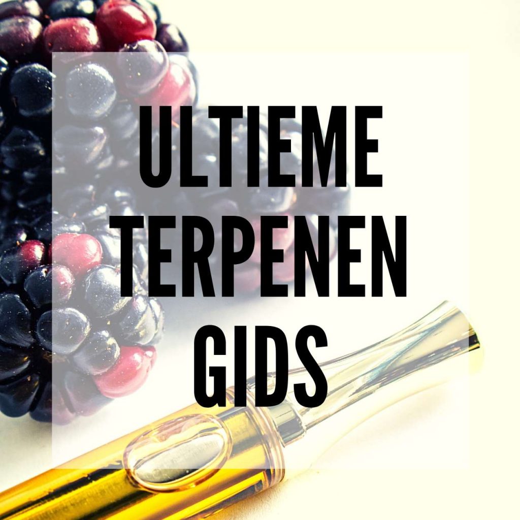 ✅ Ultieme Terpenen Gids - blog post - Smartific