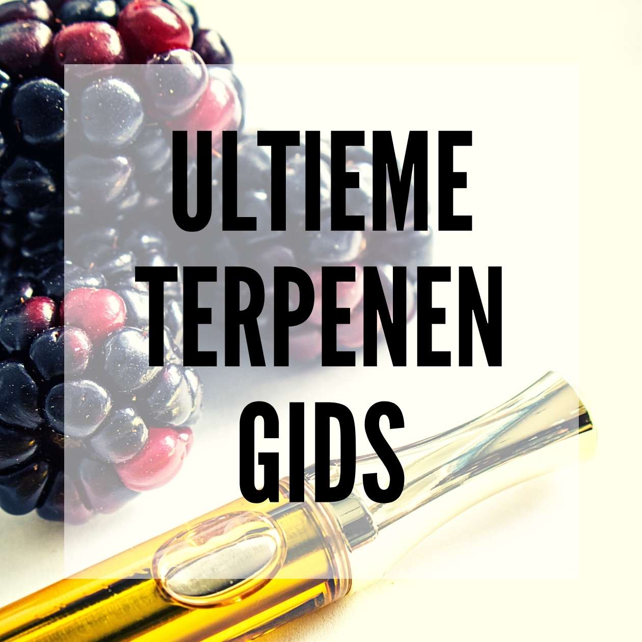 ✅ Ultieme Terpenen Gids - blog post - Smartific