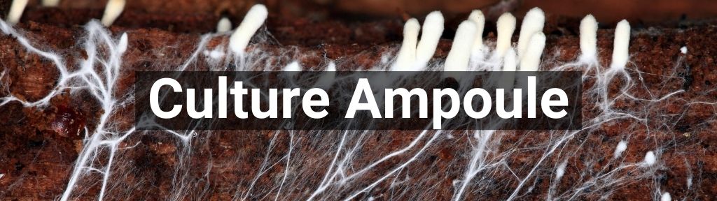 ✅ Alle Culture Ampoule producten - Smartific.com