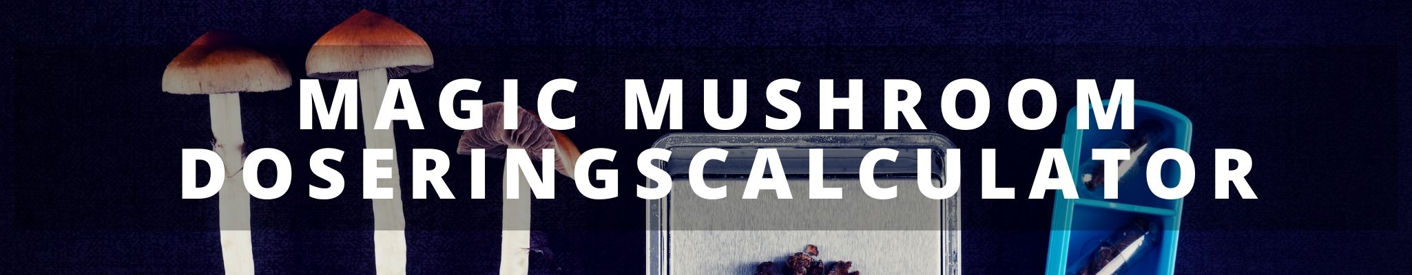 ✅ Magic Mushroom Doseringscalculator - bereken je dosis Paddos en Magic Truffels direct - Smartific.com ✅ Magic Mushroom Doseringscalculator - bereken je dosis Paddos en Magic Truffels direct - Smartific.com