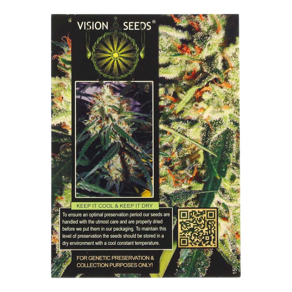 ? Vision Seeds Wietzaadjes Auto DELHI CHEESE Smartific 2014194/2014193 ? Vision Seeds Wietzaadjes Auto DELHI CHEESE Smartific 2014194/2014193