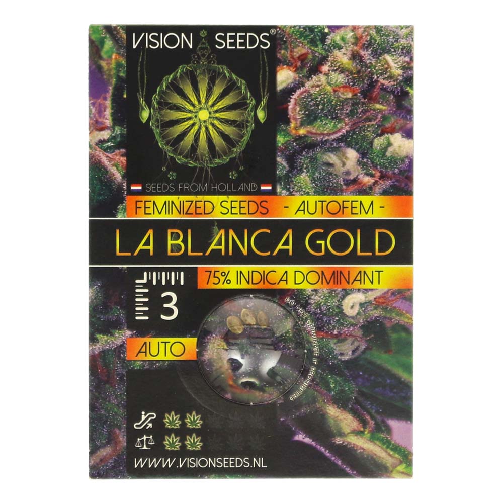 ? Vision Seeds Wietzaadjes Auto LA BLANCA GOLD Smartific 2014196/2014195 ? Vision Seeds Wietzaadjes Auto LA BLANCA GOLD Smartific 2014196/2014195