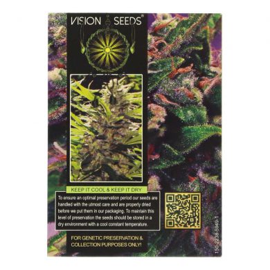 ? Vision Seeds Wietzaadjes Auto LA BLANCA GOLD Smartific 2014196/2014195
