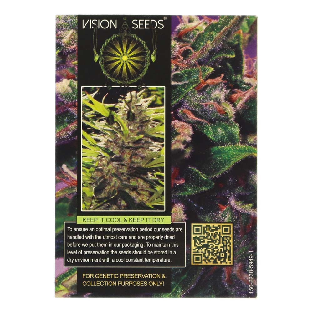 ? Vision Seeds Wietzaadjes Auto LA BLANCA GOLD Smartific 2014196/2014195 ? Vision Seeds Wietzaadjes Auto LA BLANCA GOLD Smartific 2014196/2014195