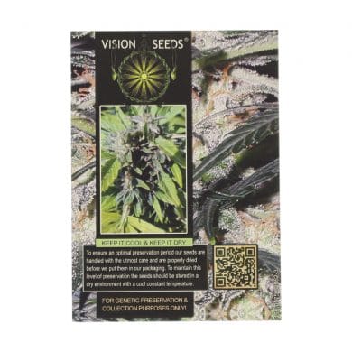 ? Vision Seeds Wietzaadjes Auto LOWRYDER Smartific 2014198/2014197