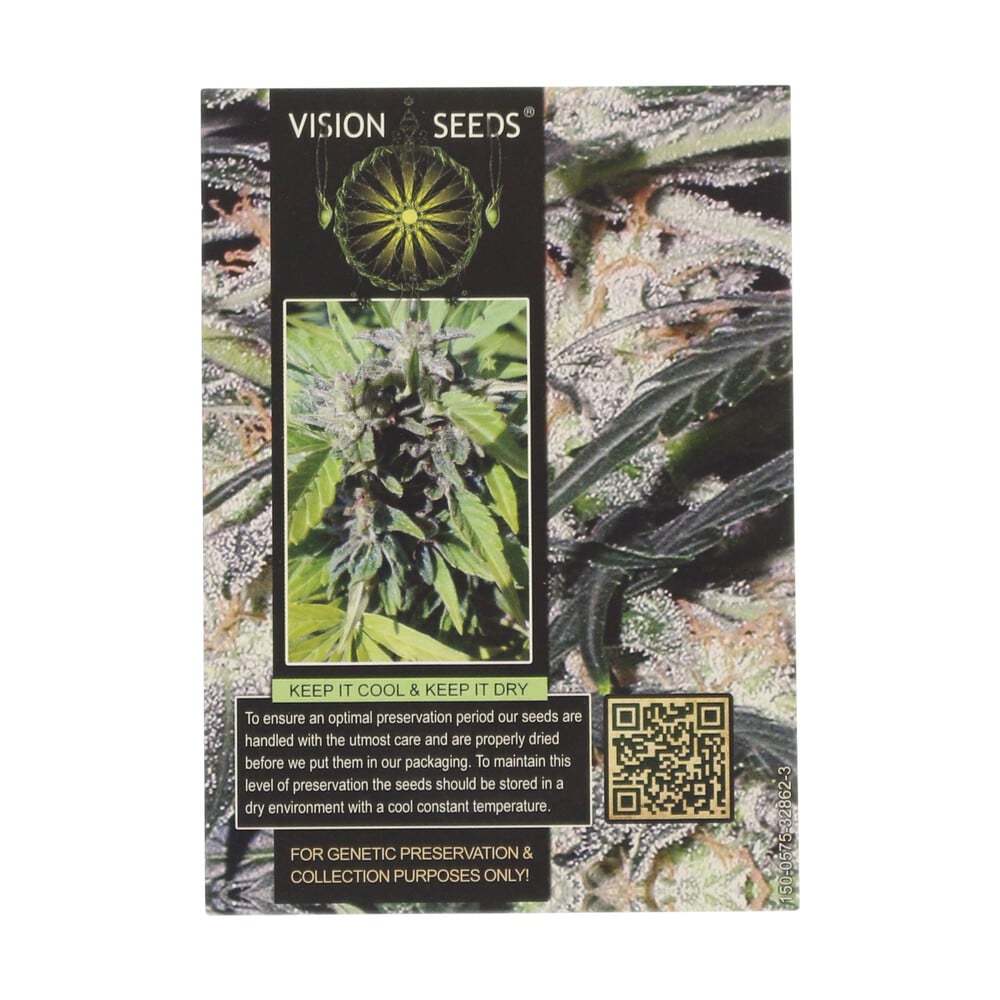 ? Vision Seeds Wietzaadjes Auto LOWRYDER Smartific 2014198/2014197 ? Vision Seeds Wietzaadjes Auto LOWRYDER Smartific 2014198/2014197
