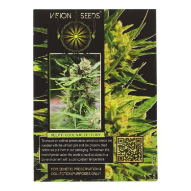 ? Vision Seeds Wietzaadjes Auto NORTHERN LIGHTS Smartific 2014200/2014199