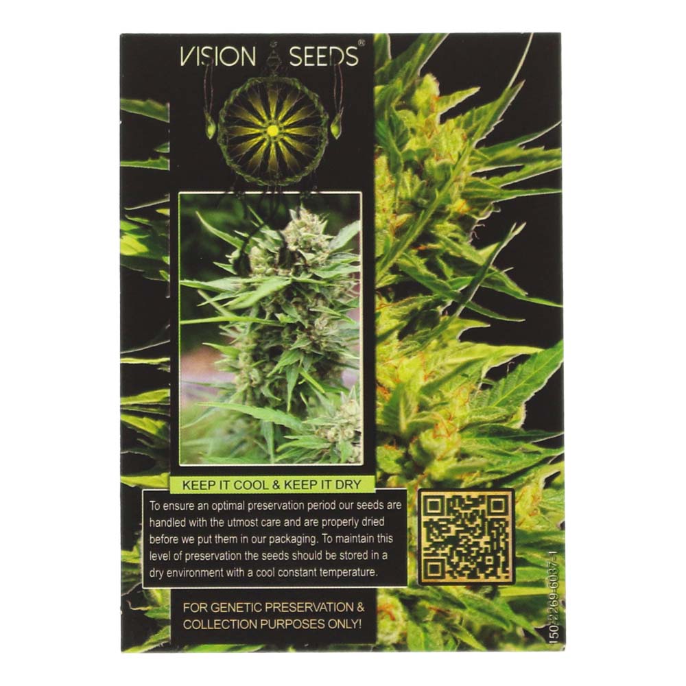 ? Vision Seeds Wietzaadjes Auto NORTHERN LIGHTS Smartific 2014200/2014199 ? Vision Seeds Wietzaadjes Auto NORTHERN LIGHTS Smartific 2014200/2014199
