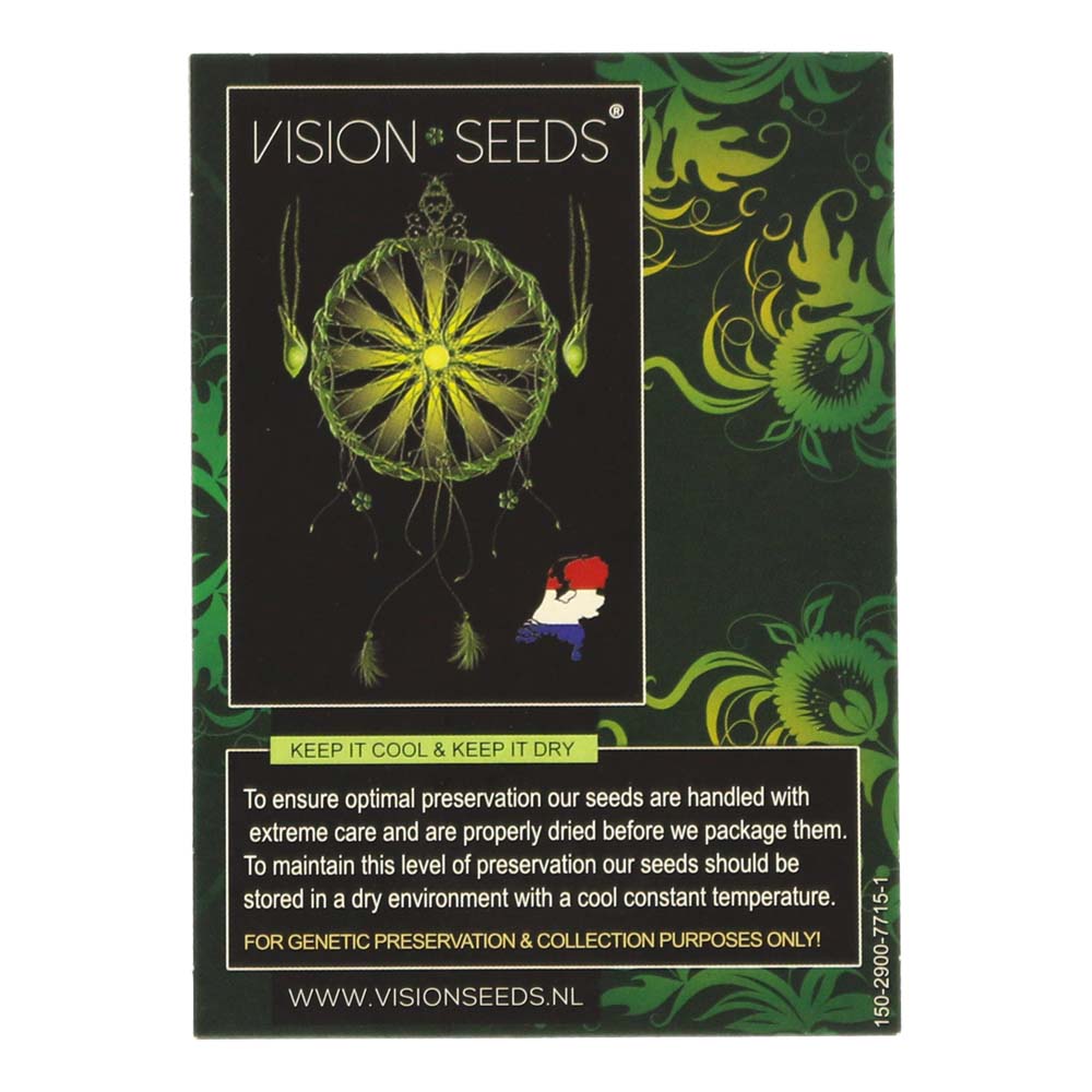 ? Vision Seeds Wietzaadjes Auto VISION CARAMELLO Smartific 2014204/2014203 ? Vision Seeds Wietzaadjes Auto VISION CARAMELLO Smartific 2014204/2014203
