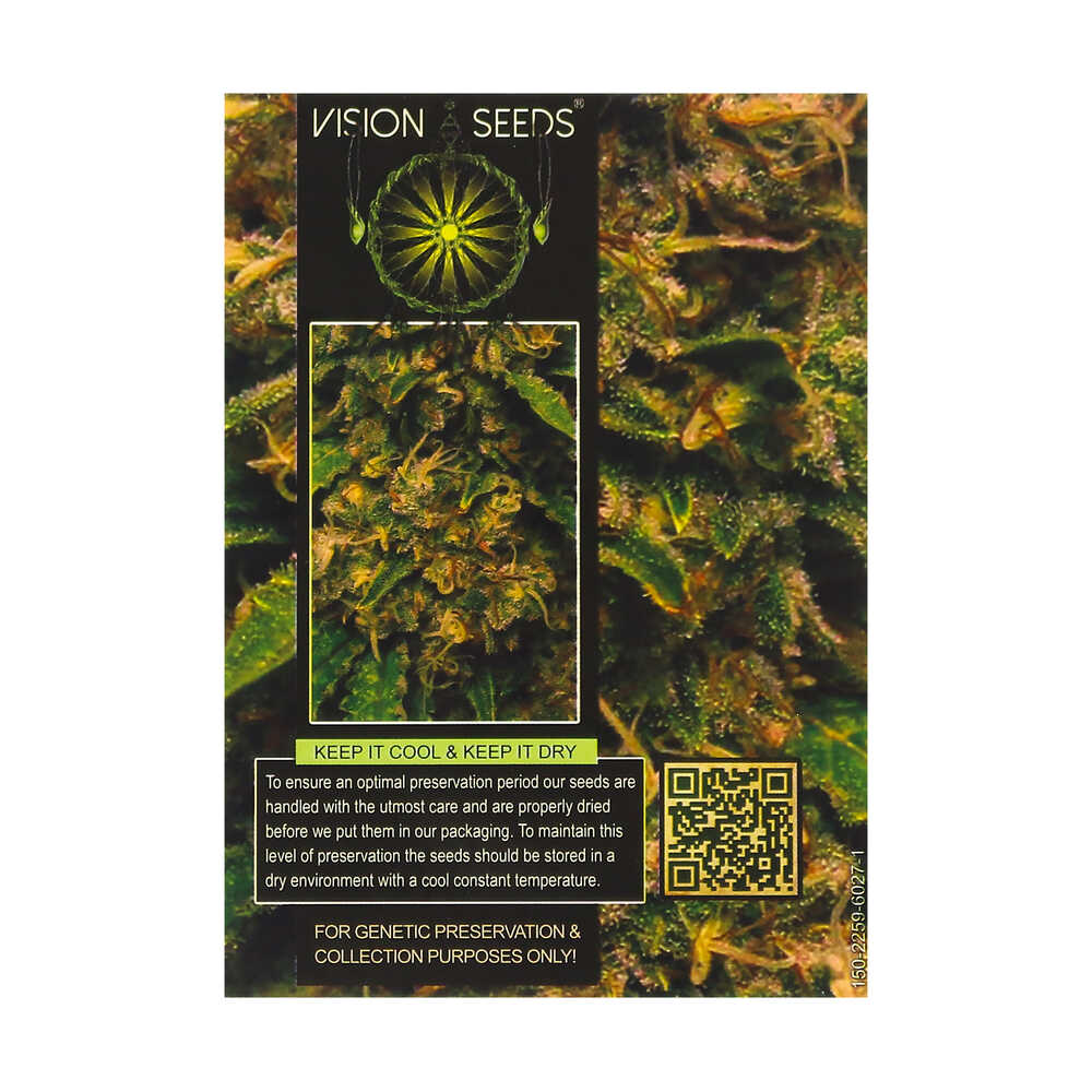 ? Vision Seeds Wietzaadjes Auto VISION CRITICAL Smartific 2014206/2014205 ? Vision Seeds Wietzaadjes Auto VISION CRITICAL Smartific 2014206/2014205