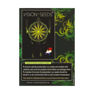 ? Vision Seeds Wietzaadjes Auto VISION GORILLA Smartific 2014210/2014209
