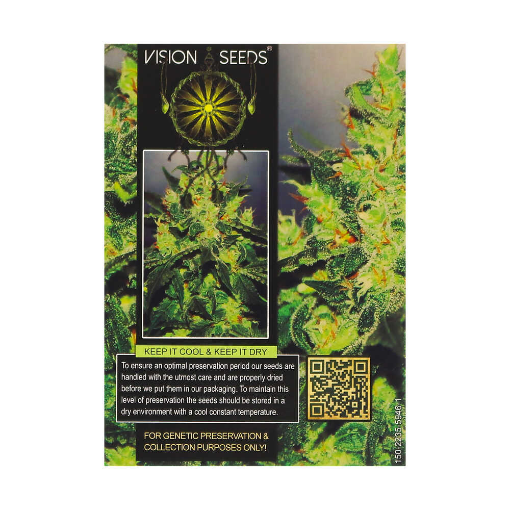 ? Vision Seeds Wietzaadjes Auto VISION JACK Smartific 2014212/2014211 ? Vision Seeds Wietzaadjes Auto VISION JACK Smartific 2014212/2014211