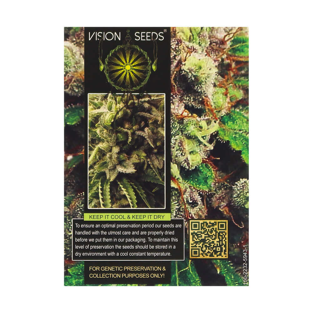 ? Vision Seeds Wietzaadjes Auto VISION KUSH Smartific 2014214/2014213 ? Vision Seeds Wietzaadjes Auto VISION KUSH Smartific 2014214/2014213