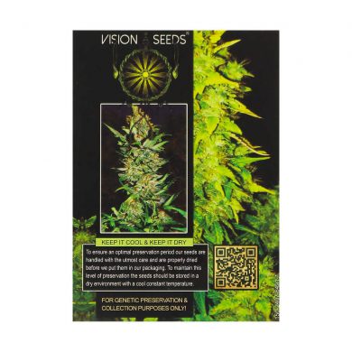 ? Vision Seeds Wietzaadjes Auto WHITE WIDOW Smartific 2014216/2014215