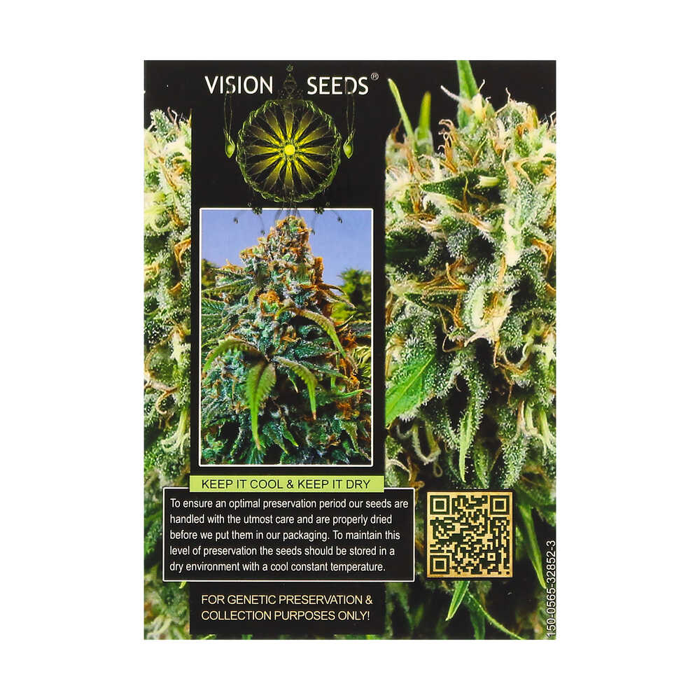 ? Vision Seeds Gefeminiseerd Wietzaadjes AMNESIA Smartific 2014220/2014219 ? Vision Seeds Gefeminiseerd Wietzaadjes AMNESIA Smartific 2014220/2014219