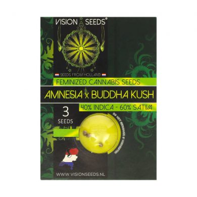 ? Vision Seeds Gefeminiseerd Wietzaadjes AMNESIA X BUDDHA KUSH Smartific 2014222/2014221