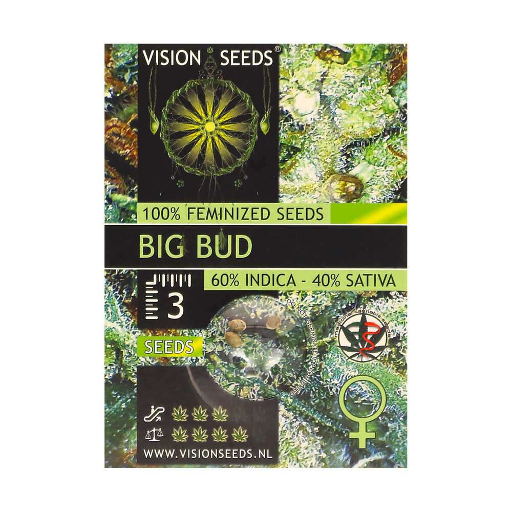 ? Vision Seeds Gefeminiseerd Wietzaadjes BIG BUD Smartific 2014224/2014223 ? Vision Seeds Gefeminiseerd Wietzaadjes BIG BUD Smartific 2014224/2014223