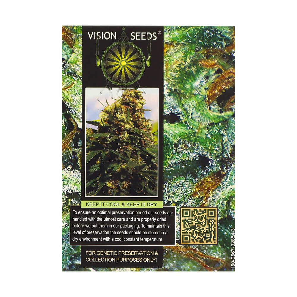 ? Vision Seeds Gefeminiseerd Wietzaadjes BIG BUD Smartific 2014224/2014223 ? Vision Seeds Gefeminiseerd Wietzaadjes BIG BUD Smartific 2014224/2014223