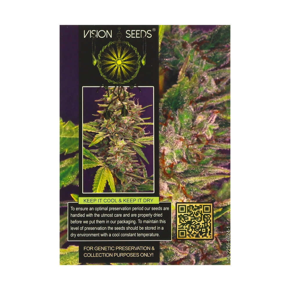 ? Vision Seeds Gefeminiseerd Wietzaadjes BRAINKILLER HAZE Smartific 2014230/2014229 ? Vision Seeds Gefeminiseerd Wietzaadjes BRAINKILLER HAZE Smartific 2014230/2014229