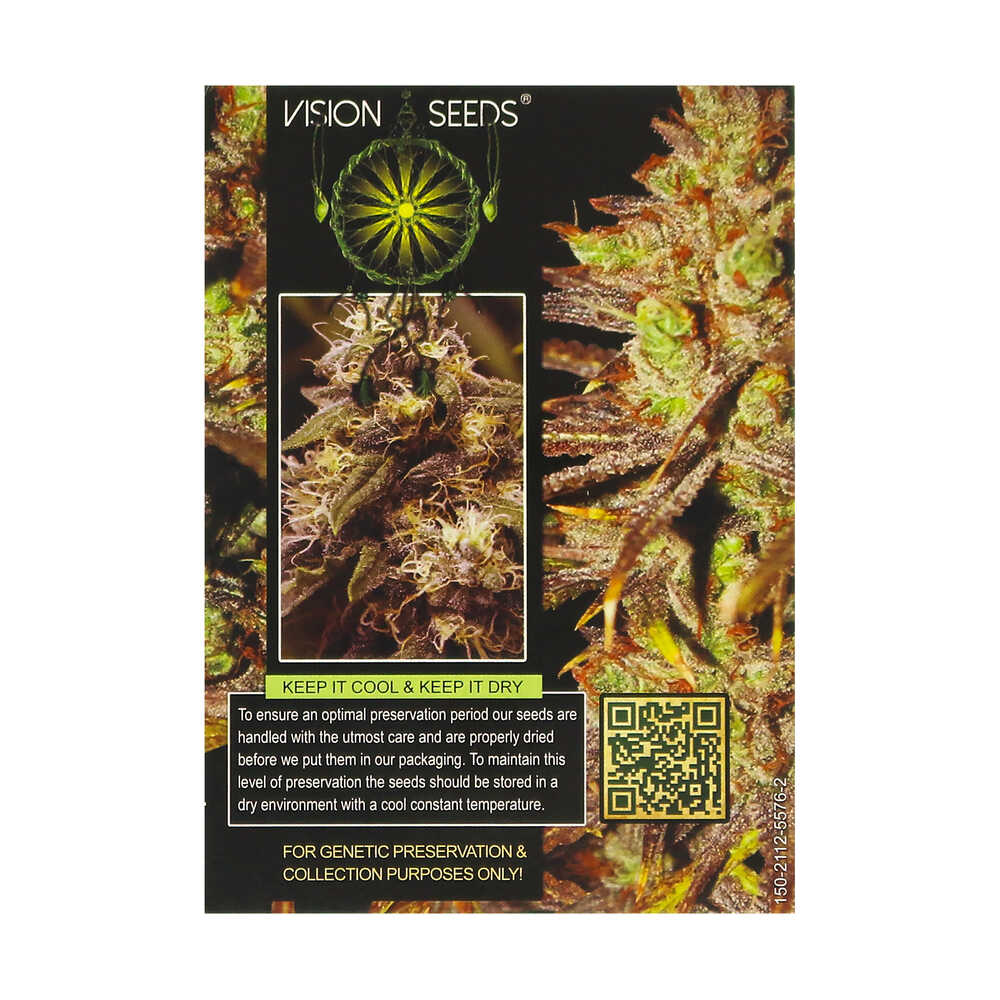? Vision Seeds Gefeminiseerd Wietzaadjes CHOCO BUD Smartific 2014236/2014235 ? Vision Seeds Gefeminiseerd Wietzaadjes CHOCO BUD Smartific 2014236/2014235