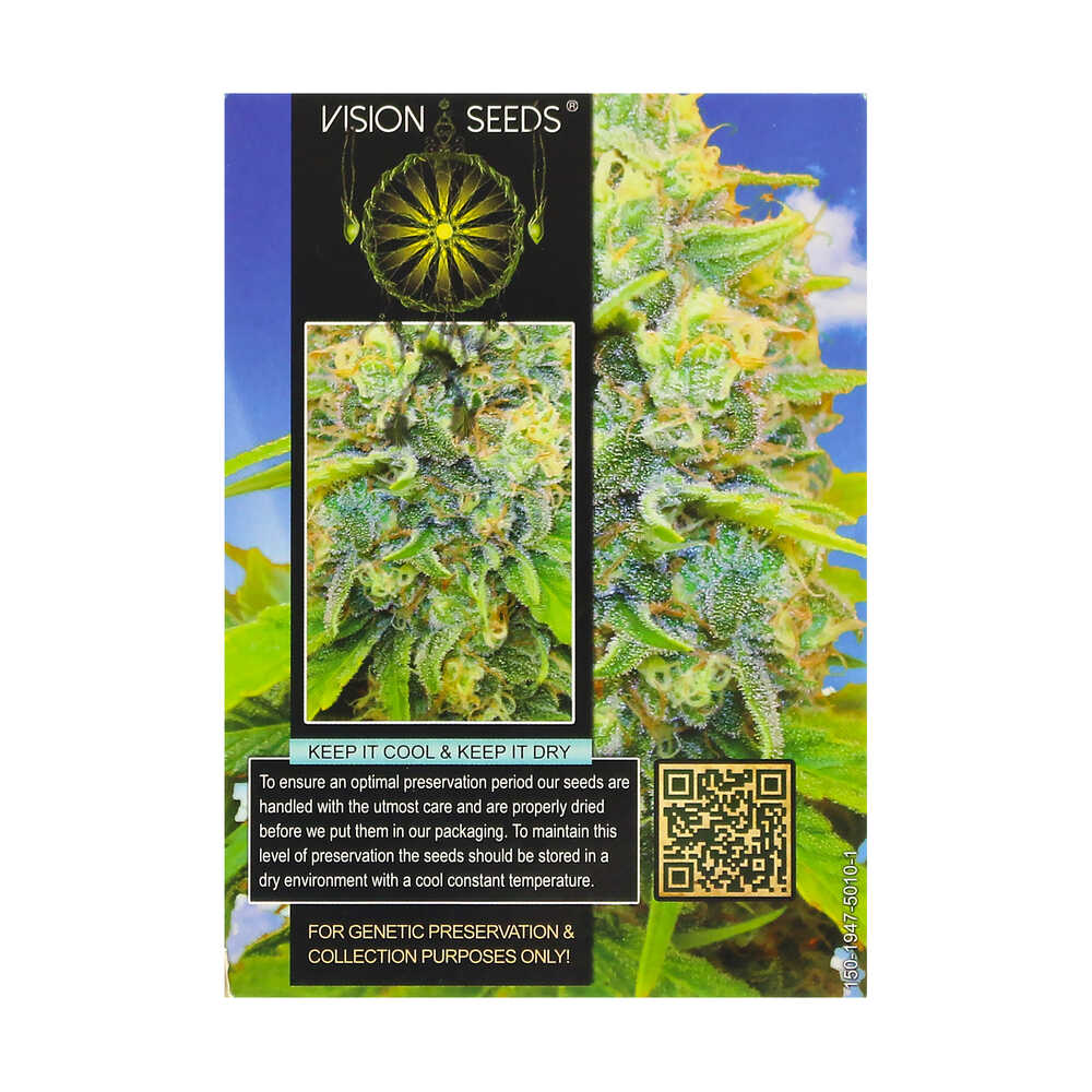 ? Vision Seeds Gefeminiseerd Wietzaadjes MEDICAL 49 (CBD+) Smartific 2014252/2014251 ? Vision Seeds Gefeminiseerd Wietzaadjes MEDICAL 49 (CBD+) Smartific 2014252/2014251