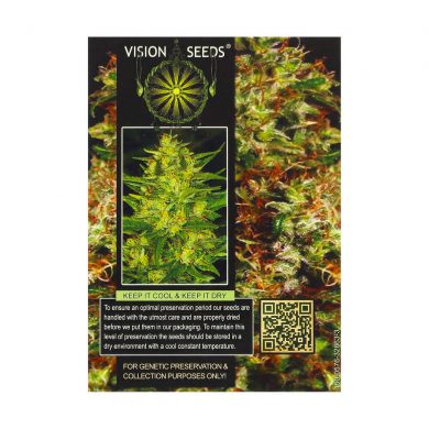 ? Vision Seeds Gefeminiseerd Wietzaadjes NY DIESEL Smartific 2014260/2014259