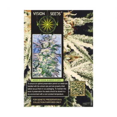 ? Vision Seeds Gefeminiseerd Wietzaadjes RUSSIAN SNOW Smartific 2014264/2014263