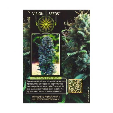 ? Vision Seeds Gefeminiseerd Wietzaadjes SILVER HAZE Smartific 2014266/2014265