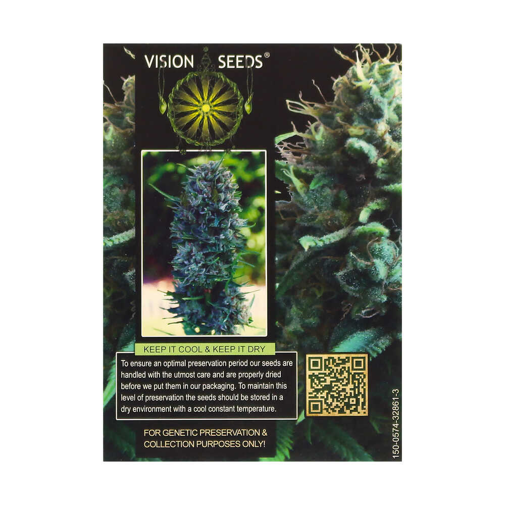 ? Vision Seeds Gefeminiseerd Wietzaadjes SILVER HAZE Smartific 2014266/2014265 ? Vision Seeds Gefeminiseerd Wietzaadjes SILVER HAZE Smartific 2014266/2014265