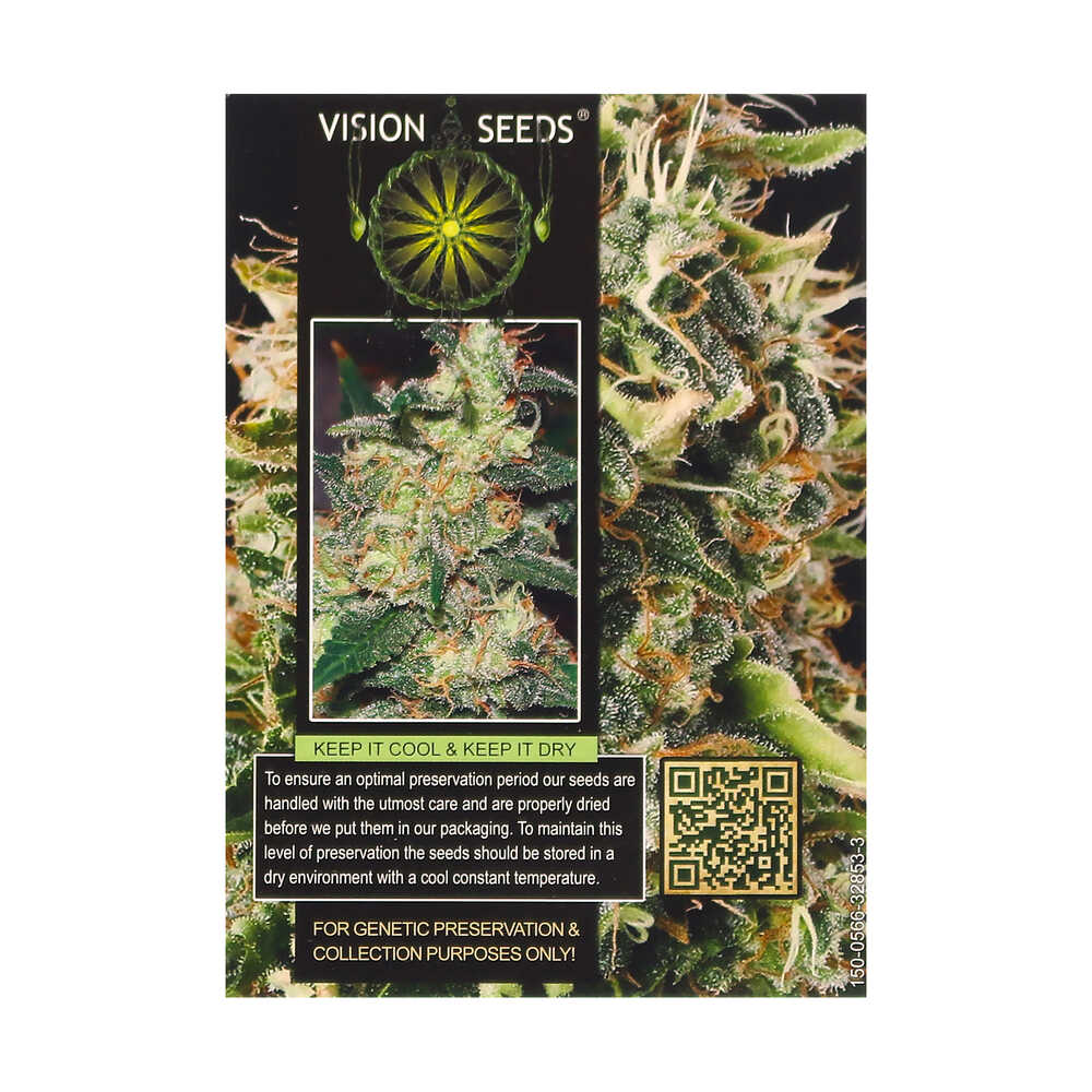 ? Vision Seeds Gefeminiseerd Wietzaadjes SUPER SKUNK Smartific 2014268/2014267 ? Vision Seeds Gefeminiseerd Wietzaadjes SUPER SKUNK Smartific 2014268/2014267
