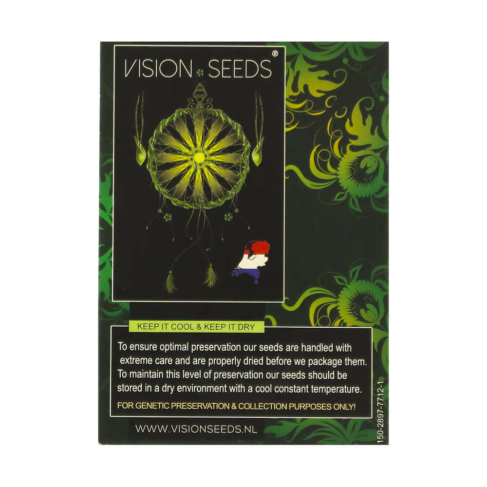 ? Vision Seeds Gefeminiseerd Wietzaadjes WEDDING CAKE X TRIPLE OG Smartific 2014280/2014279 ? Vision Seeds Gefeminiseerd Wietzaadjes WEDDING CAKE X TRIPLE OG Smartific 2014280/2014279