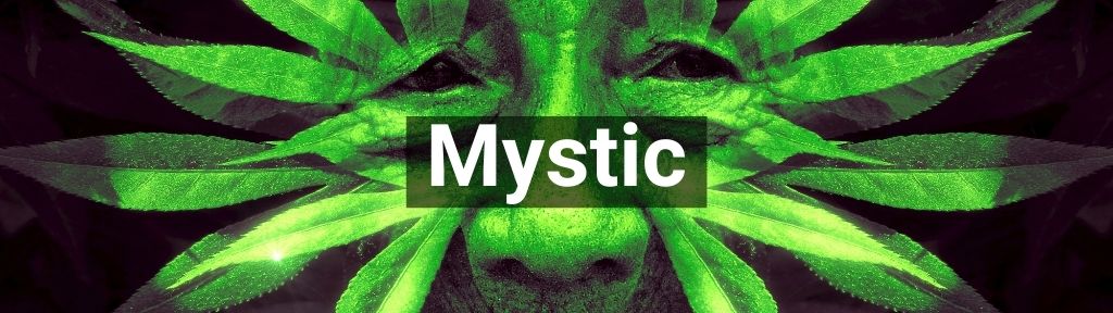 ✅ Alle hoge kwaliteit Mystic producten van Smartific.nl