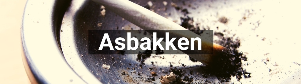 ✅ Alle hoge kwaliteit Asbakken producten van Smartific.nl