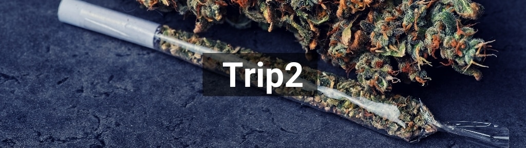 ✅ Alle hoge kwaliteit Trip2 producten van Smartific.nl