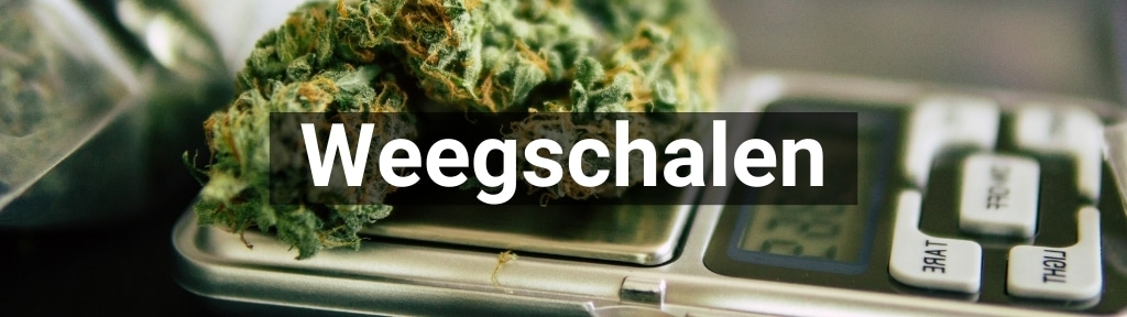 ✅ Alle hoge kwaliteit Weegschalen producten van Smartific.nl