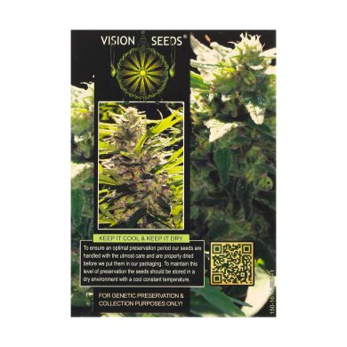 ? Vision Seeds Gefeminiseerd Wietzaadjes LA BLANCA GOLD Smartific 2014248/2014247