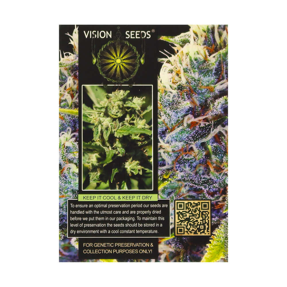? Vision Seeds Gefeminiseerd Wietzaadjes WHITE WIDOW Smartific 2014282/2014281 ? Vision Seeds Gefeminiseerd Wietzaadjes WHITE WIDOW Smartific 2014282/2014281