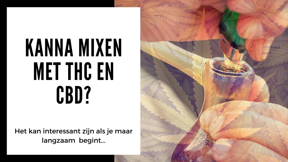 Alles wat je moet weten over Kanna - smartific.nl advies blog (10)