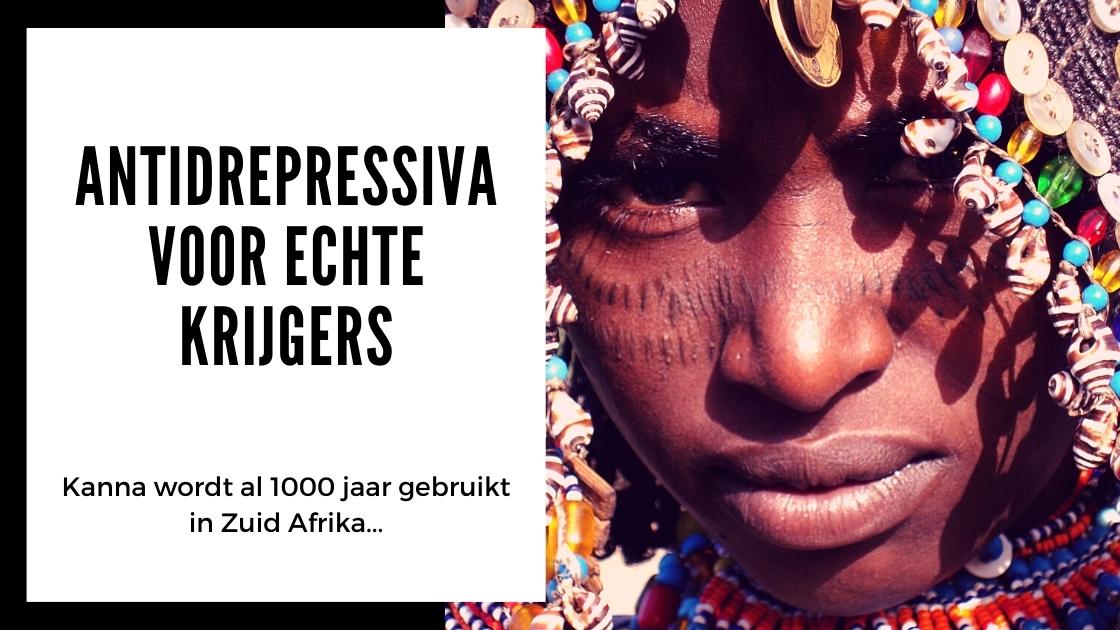 Alles wat je moet weten over Kanna - smartific.nl advies blog (14)