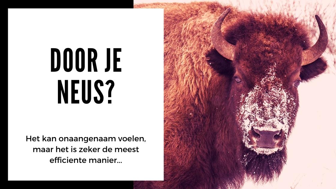 Alles wat je moet weten over Kanna - smartific.nl advies blog (6)