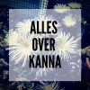 Alles wat je moet weten over Kanna - smartific.nl advies blog thumbnail