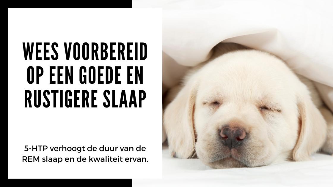 Wat kan 5-HTP voor je doen_ - Smartific blog advies (3)