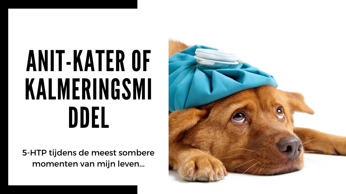 Wat kan 5-HTP voor je doen_ - Smartific blog advies