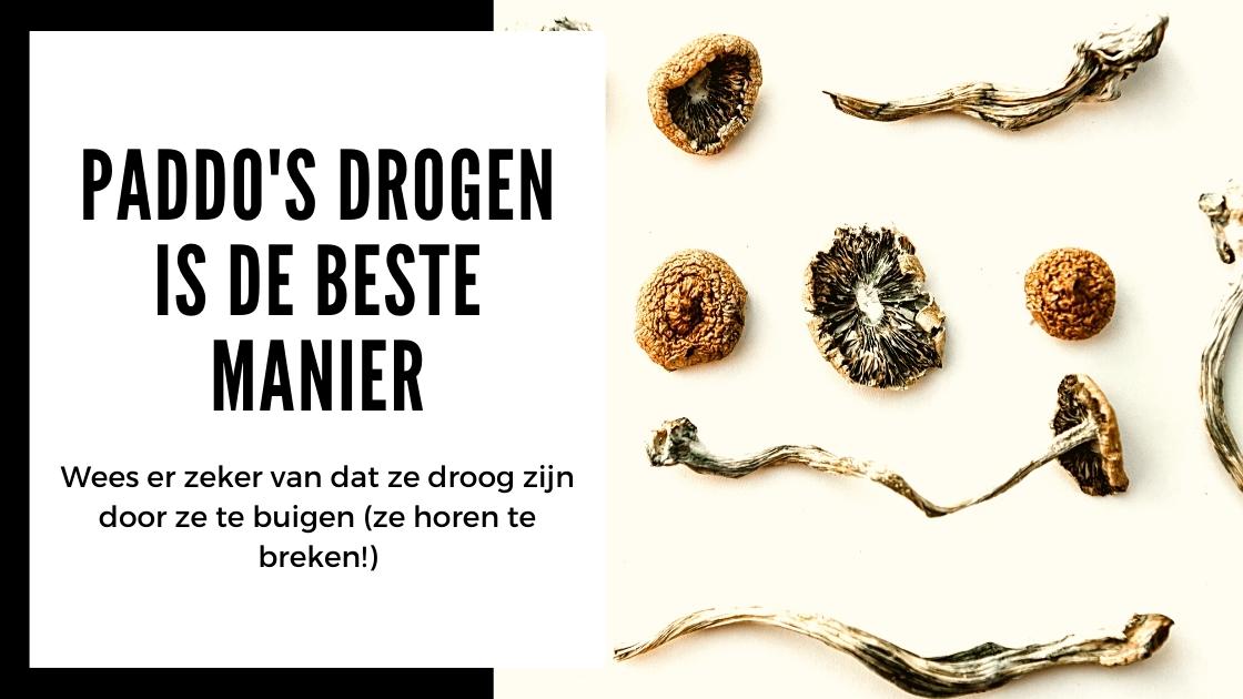 Paddo's drogen op de beste manier