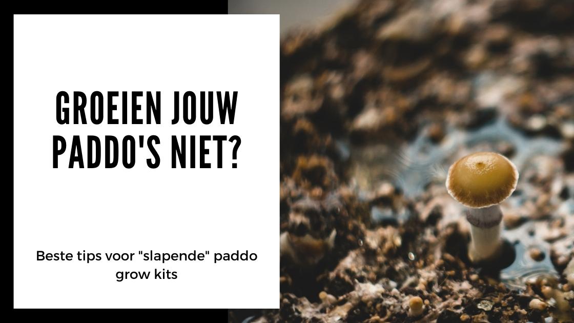 Paddo's in grow kit groeien niet