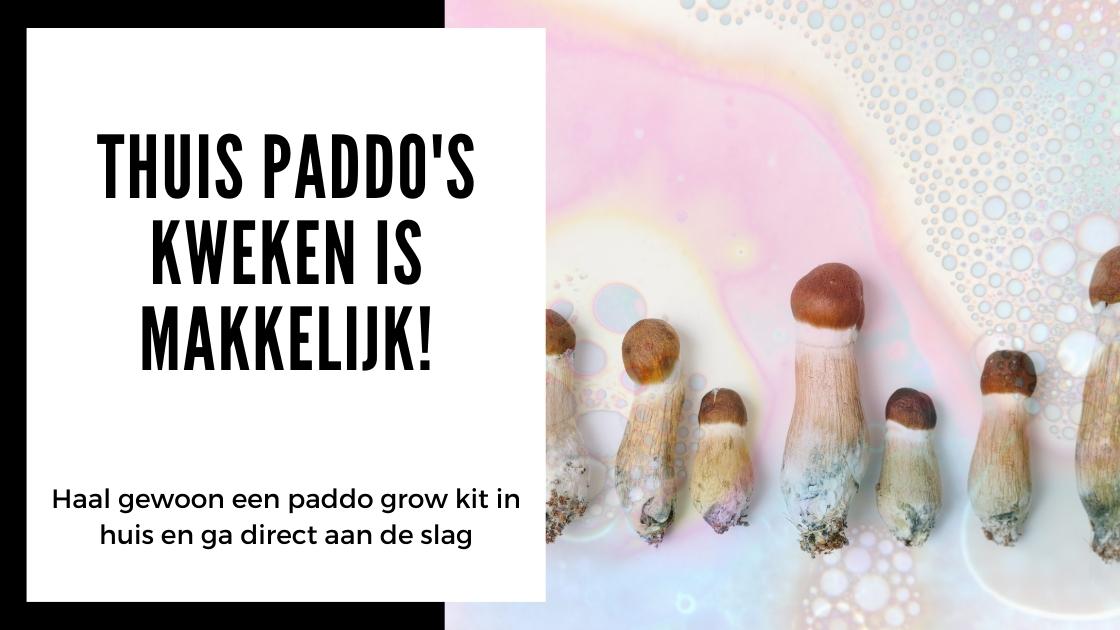 Paddo's thuis kweken met een grow kit