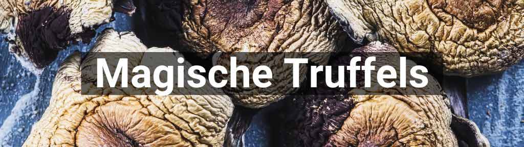 Magische truffels bij Smartshop